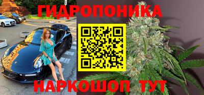прущие крисы Краснодар