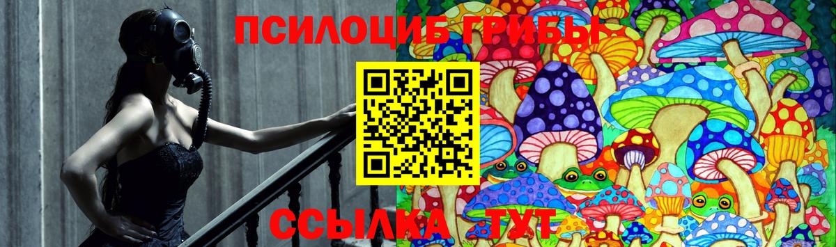 Галлюциногенные грибы ЛСД  Вход с VPN  Галлюциногенные грибы GOLDEN TEACHER  Энгельс 
