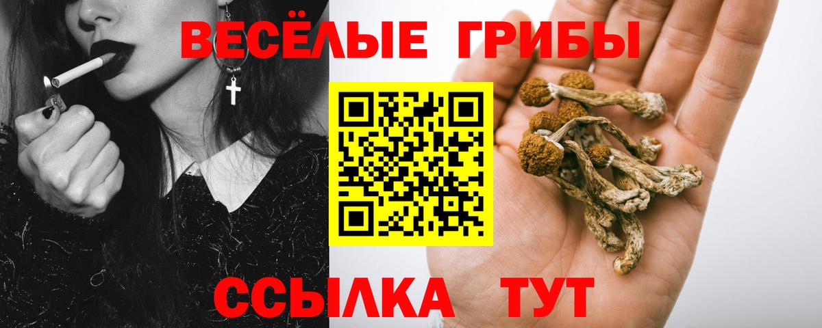 Галлюциногенные грибы мухоморы Энгельс
